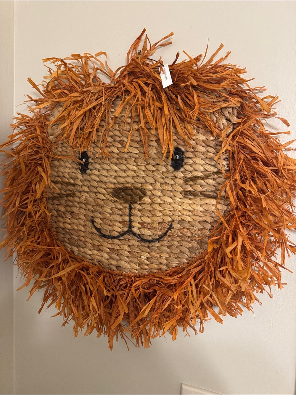 Anthropologie Woven Lion Wall Hanging with Orange Raffia Mane